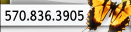 570.836.5905